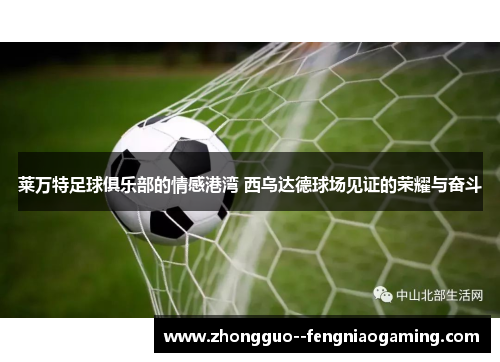 莱万特足球俱乐部的情感港湾 西乌达德球场见证的荣耀与奋斗
