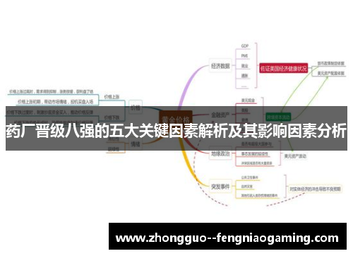 药厂晋级八强的五大关键因素解析及其影响因素分析