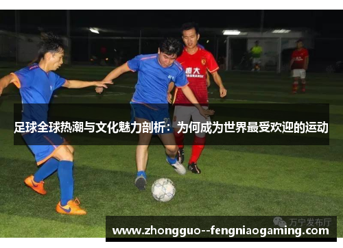 足球全球热潮与文化魅力剖析：为何成为世界最受欢迎的运动